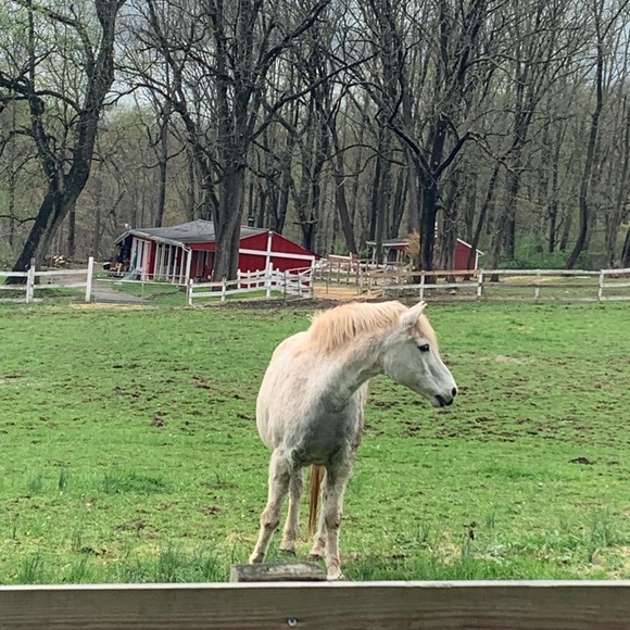 Meet your Posher, Teresa - Picture 1 of 1